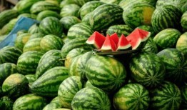 网红刘雅婧吃瓜,一场吃瓜盛宴背后的故事